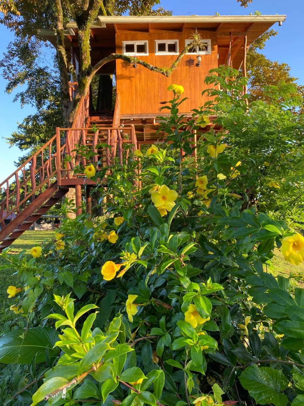 Hilamito Lodge Tela Buitenkant foto